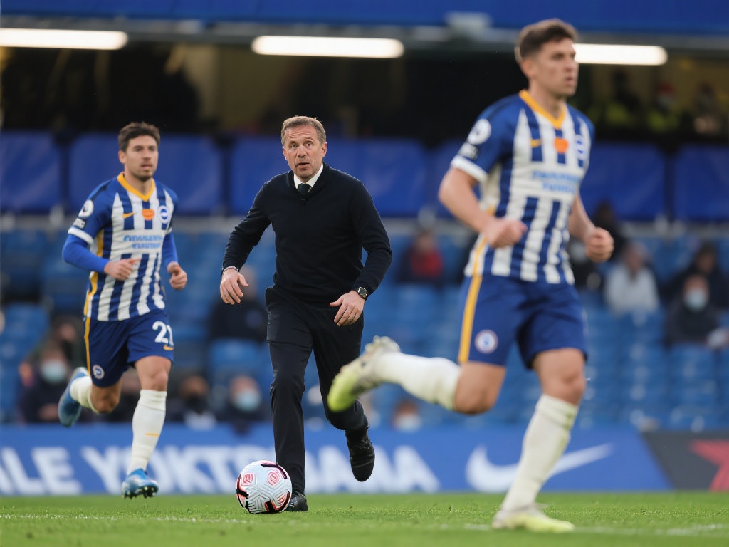 球迷的热烈 球迷的热烈